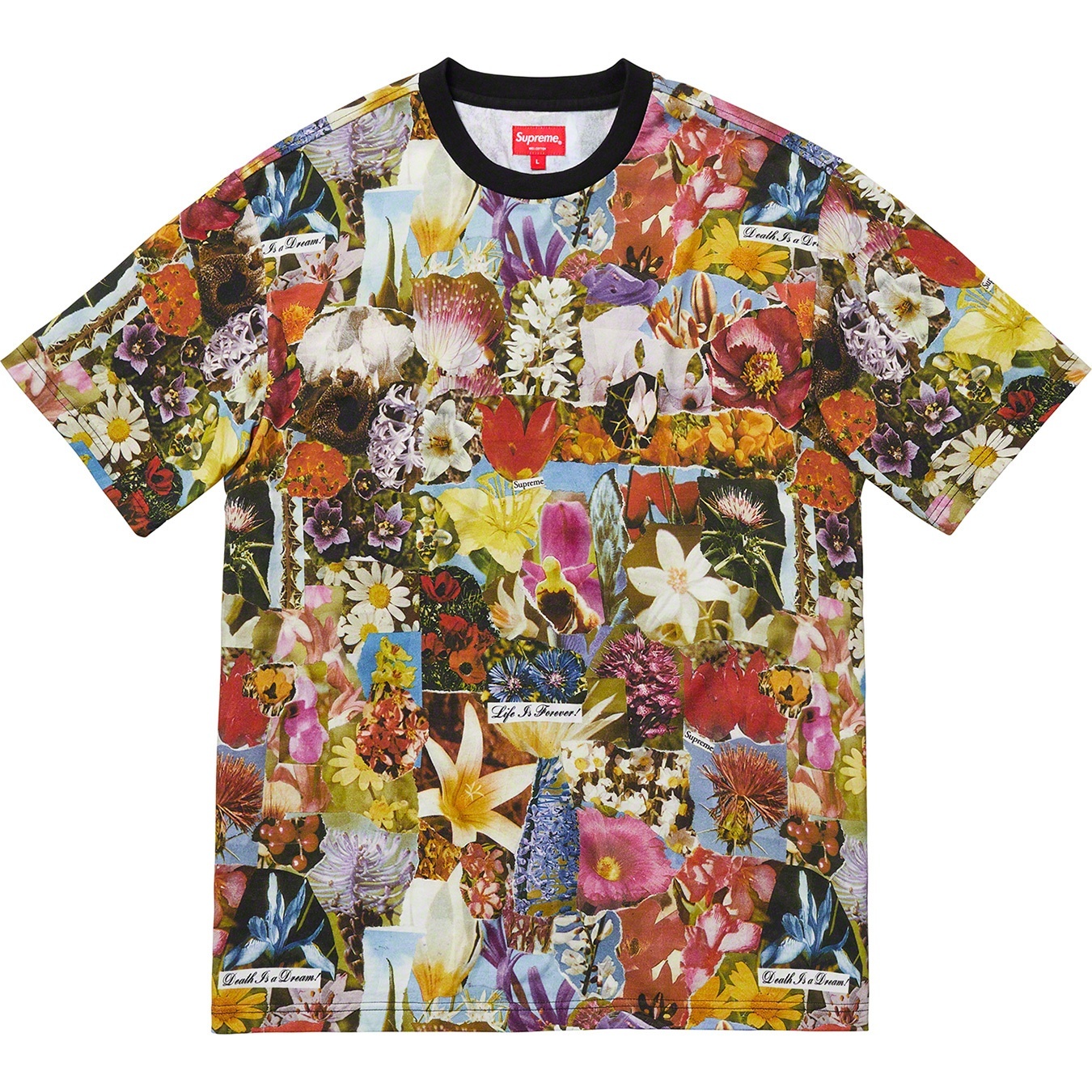 Dream S/S Top view 2